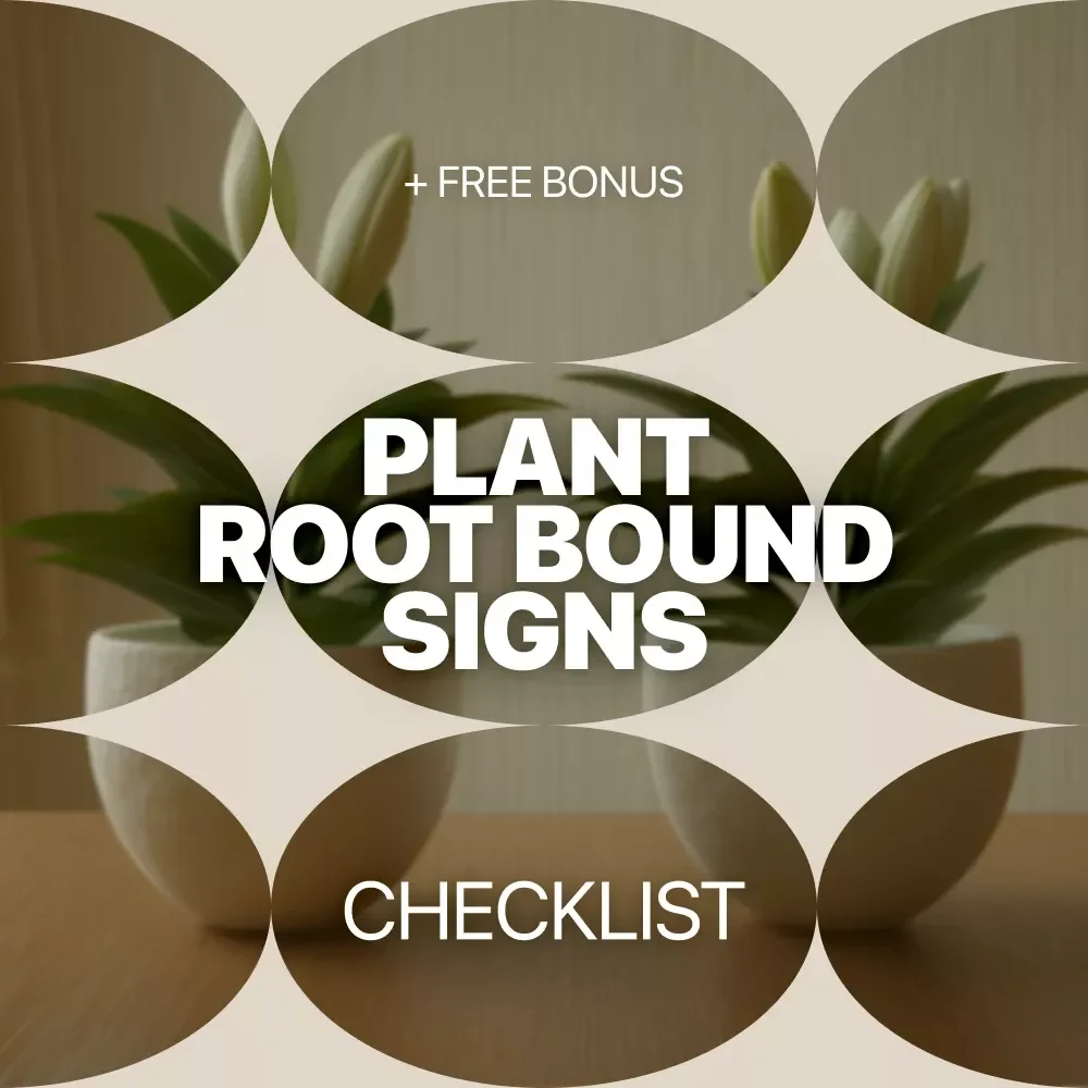 Is Your Plant Outgrowing Its Pot – Printable Checklist for Identifying Plant Root Bound Signs | Easy Houseplant Care Guide