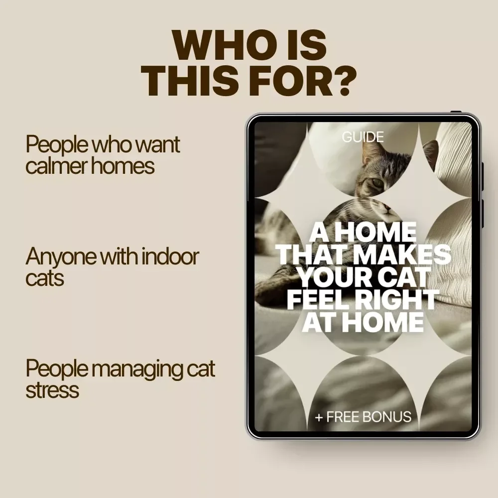 A Home That Makes Your Cat Feel Right at Home | Practical Guide to home setup for cats | Calm, Safe & Cat-Friendly Living Spaces