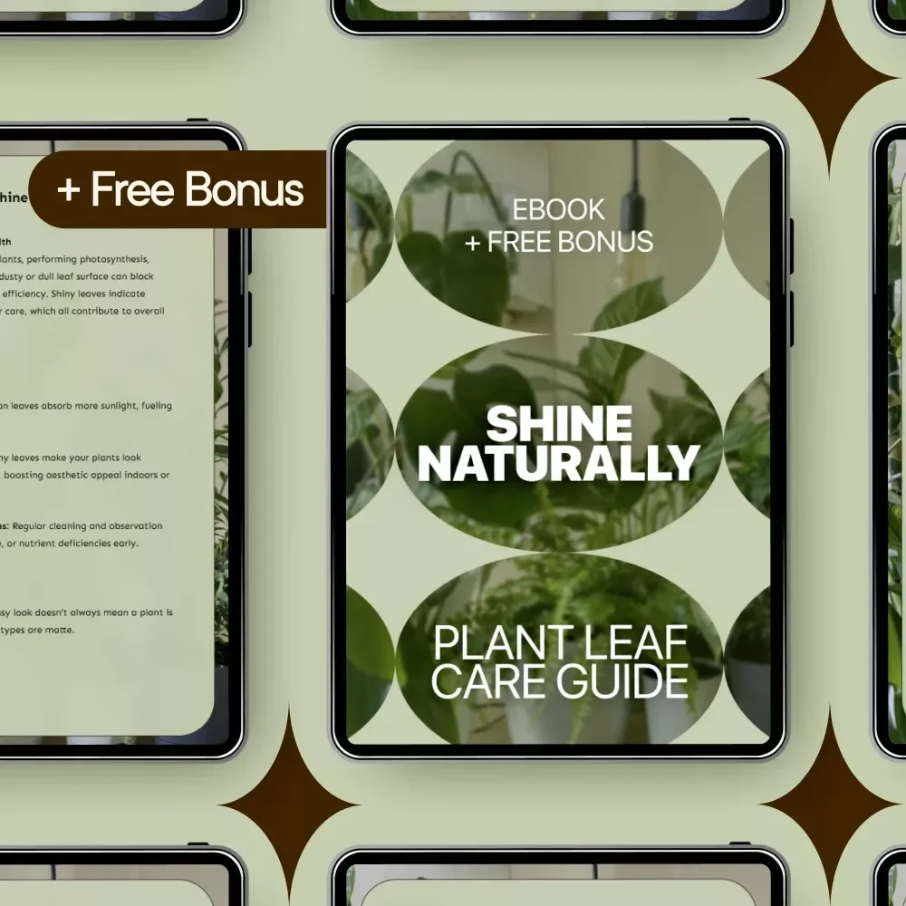 Shine Naturally: Plant Leaf Care Guide – Ebook on Plant Leaf Shine Safe Methods, Natural Cleaning & Healthy Leaf Maintenance