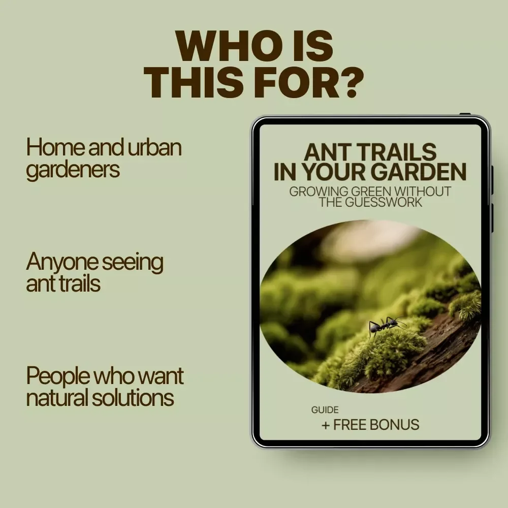 Ant Trails in Your Garden: Causes, Clues, and Clever Solutions | Practical Guide to ant trails in garden causes & Smart Prevention