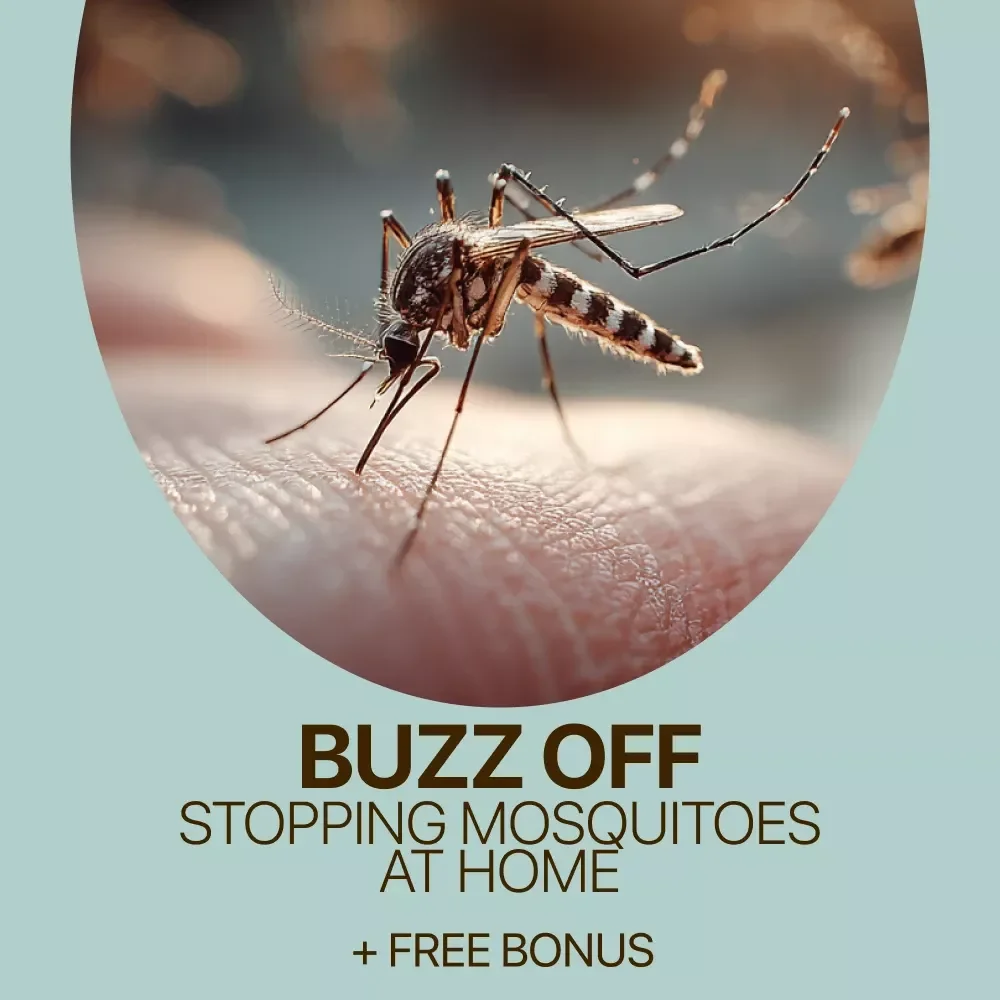 Buzz Off: Your Guide to Stopping Mosquitoes at Home | Mosquito Breeding Prevention Guide, Backyard & Yard Protection Digital Download
