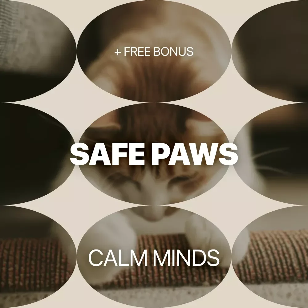 Safe Paws, Calm Minds: Pet Safety at Home Checklist for Peace of Mind