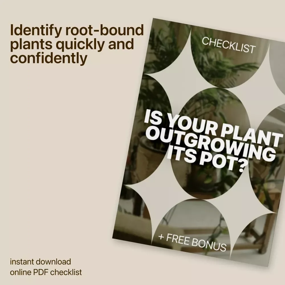 Is Your Plant Outgrowing Its Pot – Printable Checklist for Identifying Plant Root Bound Signs | Easy Houseplant Care Guide