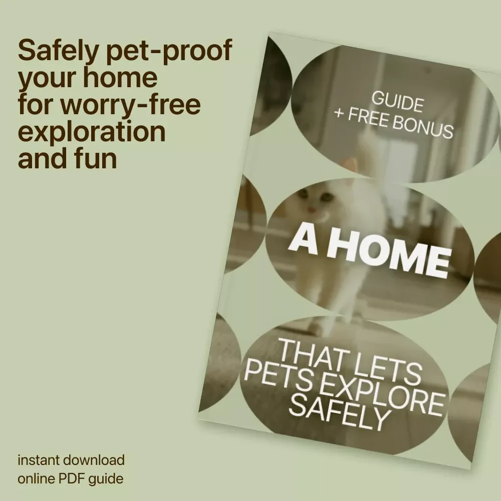 A Home That Lets Pets Explore Safely: The Ultimate Guide to Pet Proofing Your Living Space