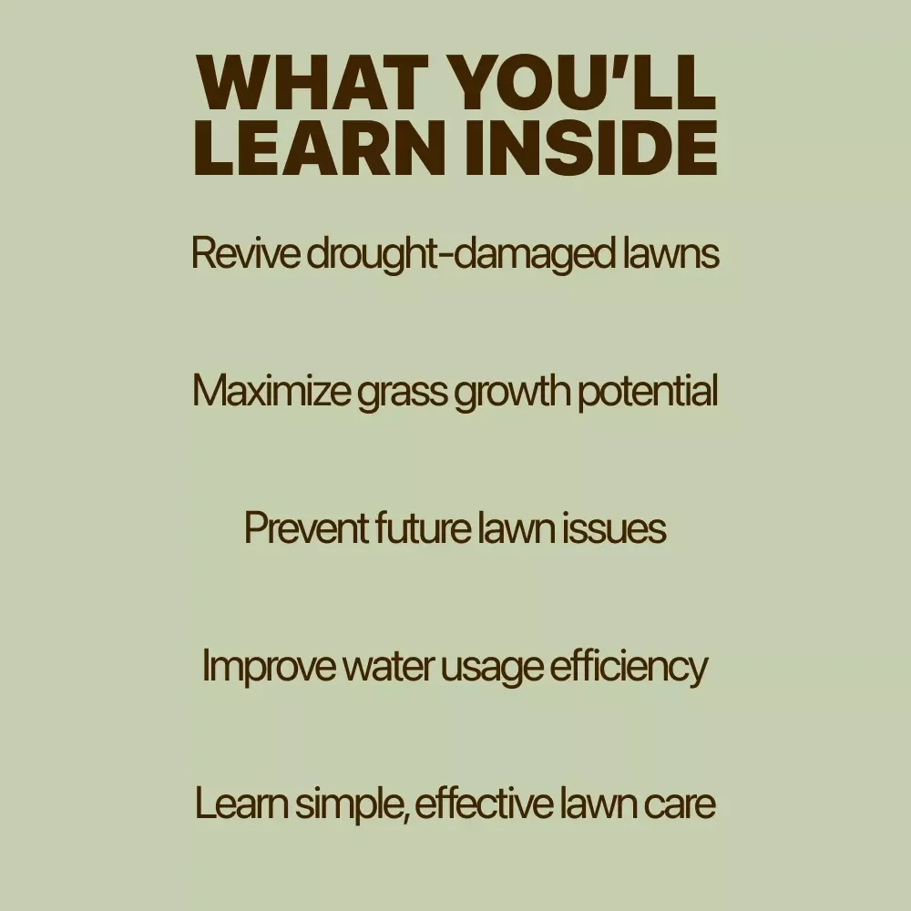 A Smart Guide to Reviving Your Lawn After Drought: Expert Lawn Recovery Tips & Strategies