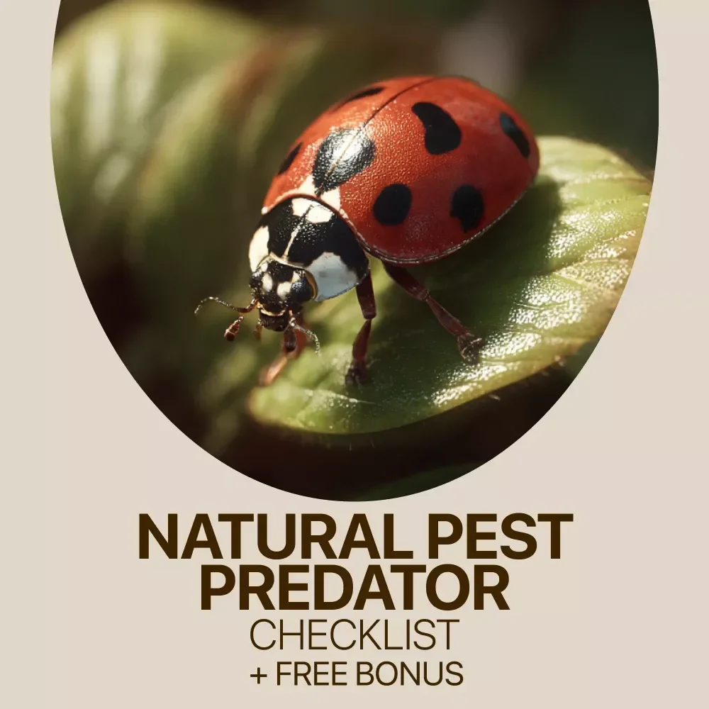 Natural Pest Predator Checklist for a Thriving Garden | Organic Gardening Guide | Natural Pest Predators | Printable Digital Download