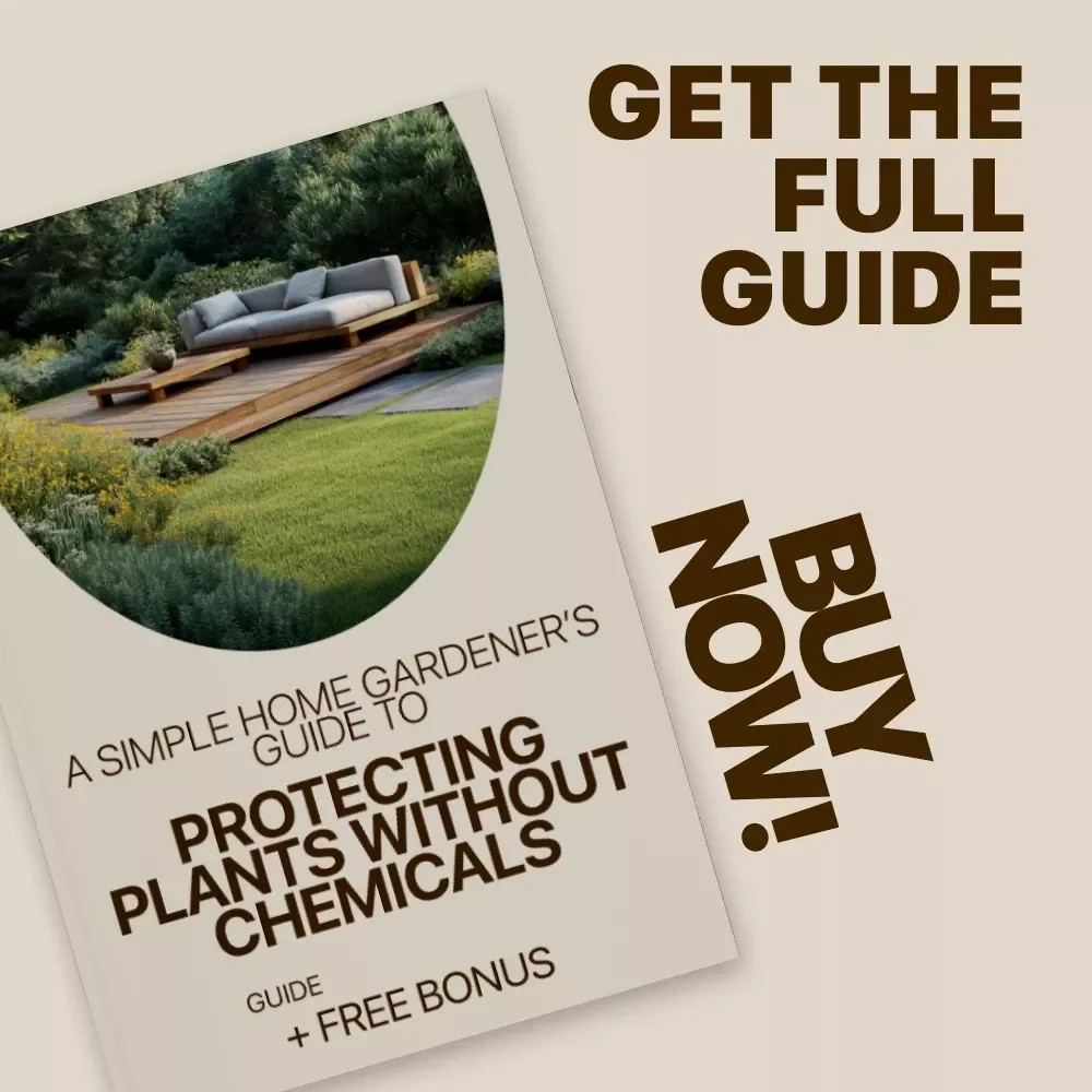 A Simple Home Gardener’s Guide to Protecting Plants Without Chemicals - Natural Pest Control for Plants