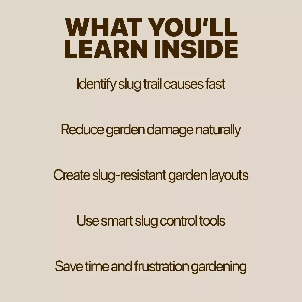 Understanding and Managing Slug Trails in Your Garden – Practical Guide to Slug Trails in Garden Causes, Natural Solutions, Smart Tools & Slug Control for Healthy Gardens