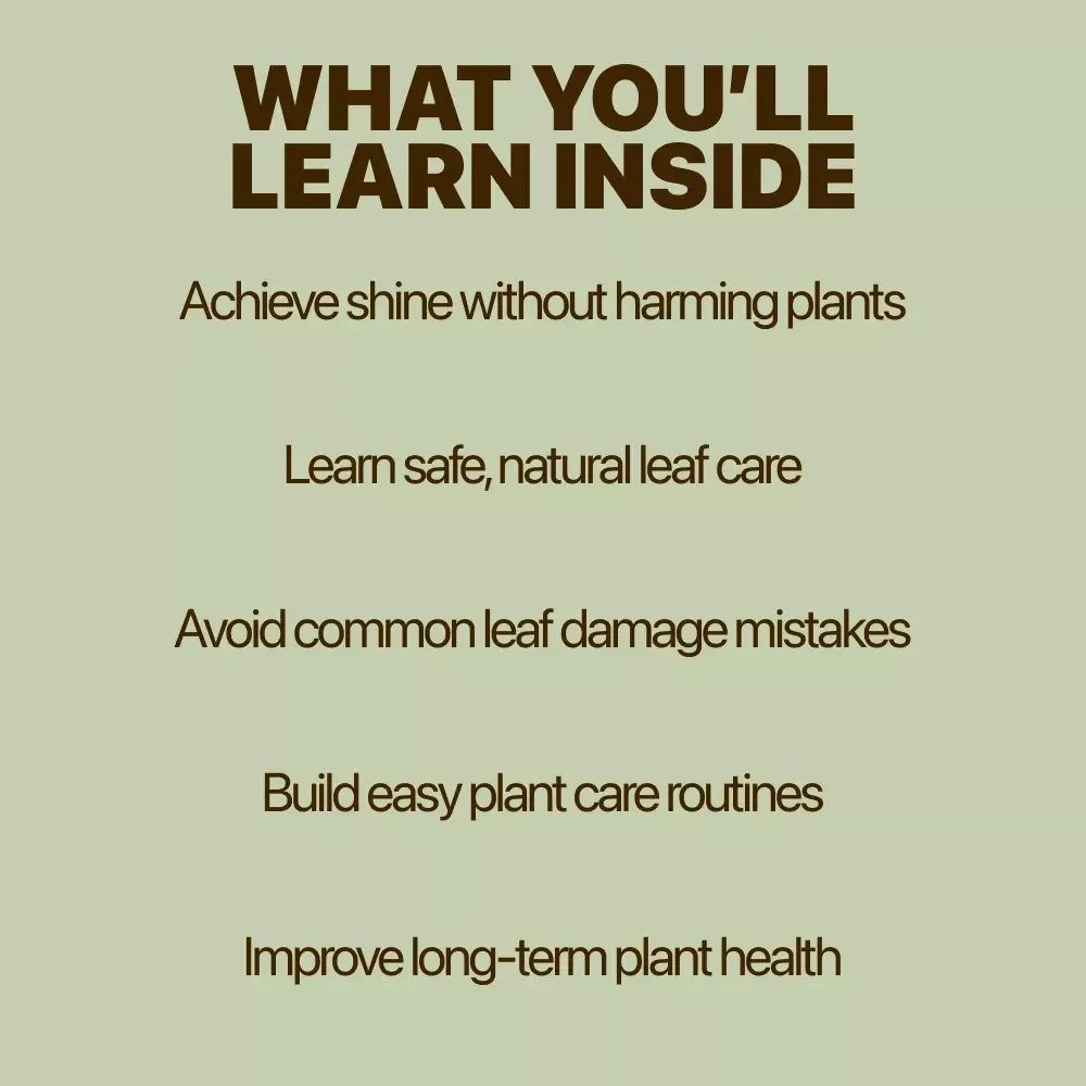 Shine Naturally: Plant Leaf Care Guide – Ebook on Plant Leaf Shine Safe Methods, Natural Cleaning & Healthy Leaf Maintenance