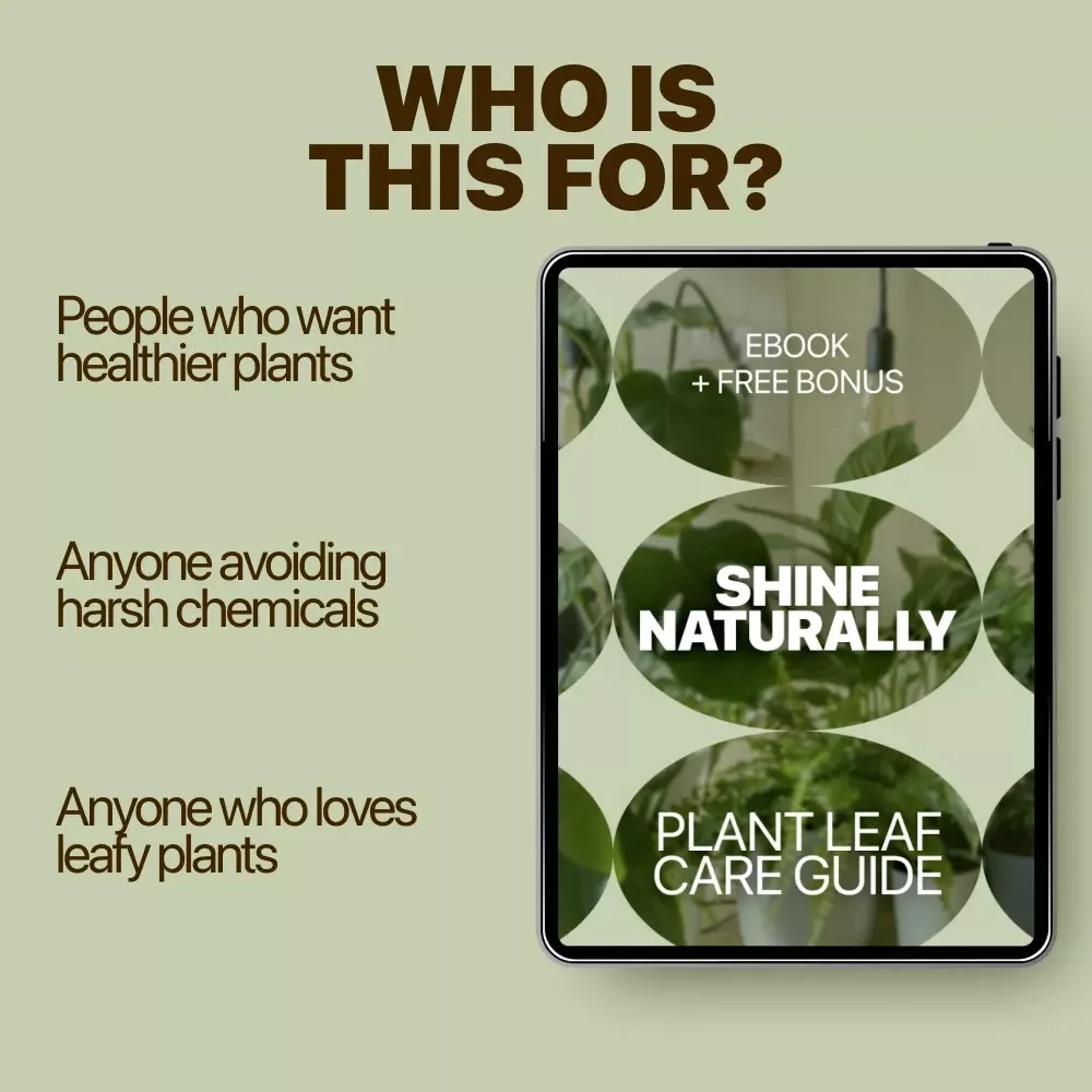 Shine Naturally: Plant Leaf Care Guide – Ebook on Plant Leaf Shine Safe Methods, Natural Cleaning & Healthy Leaf Maintenance