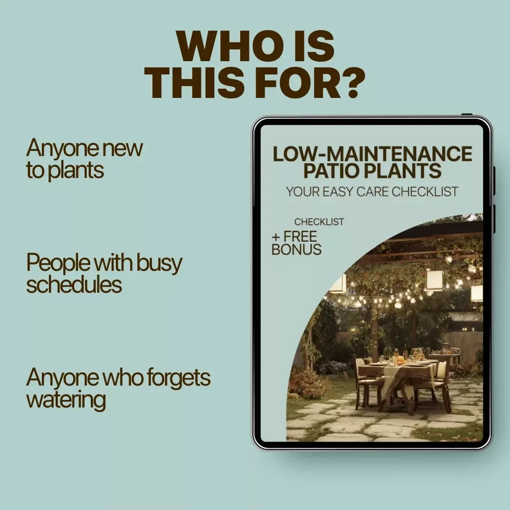 Low-Maintenance Patio Plants: Your Easy Care Checklist | Patio Plants Low Maintenance Digital Checklist for Stress-Free Outdoor Spaces