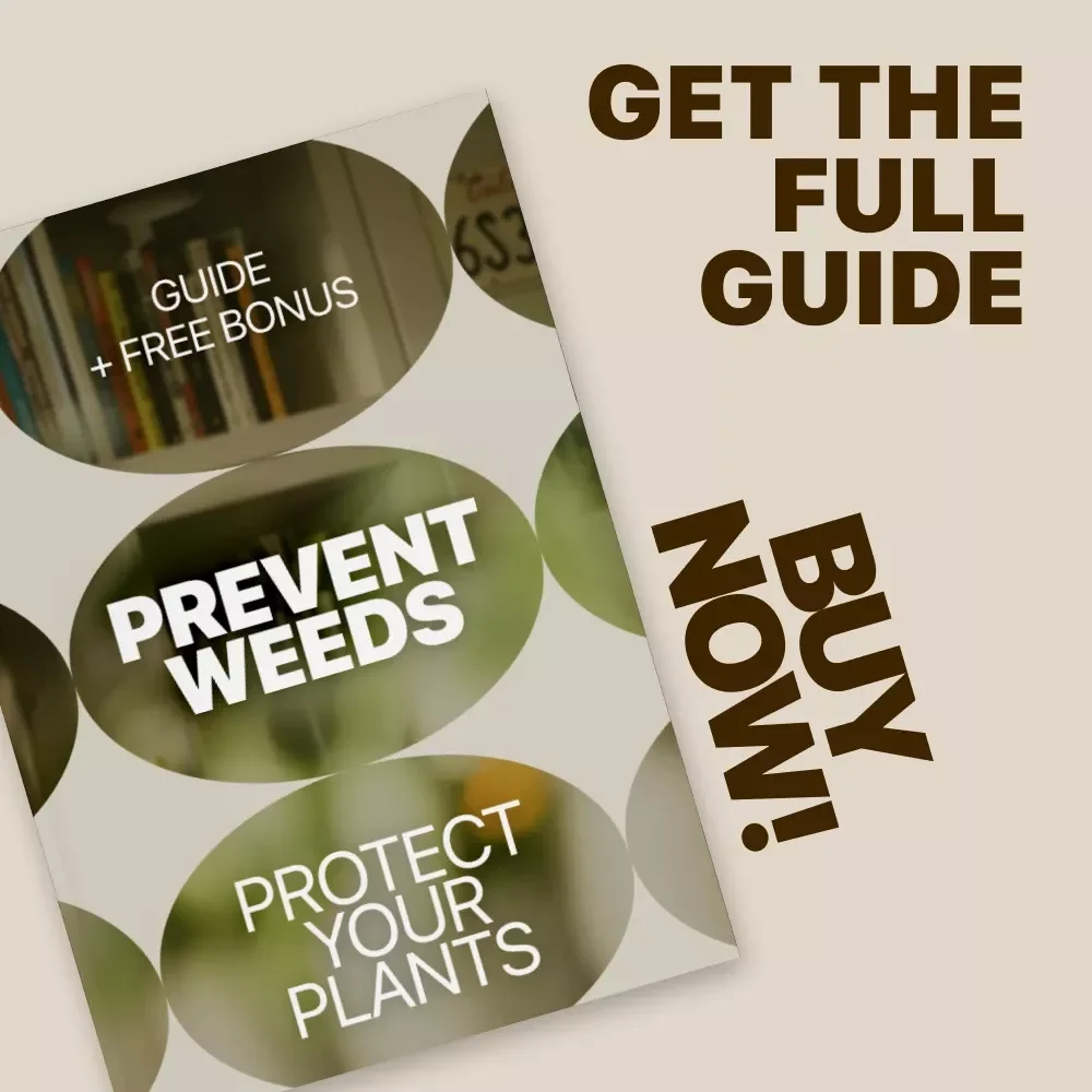 Prevent Weeds, Protect Your Plants – Practical Garden Weed Growth Prevention Guide for Healthier Beds, Smarter Planting & Long-Term Weed Control