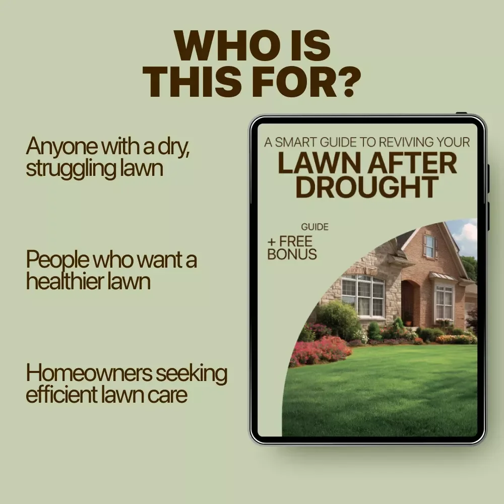 A Smart Guide to Reviving Your Lawn After Drought: Expert Lawn Recovery Tips & Strategies