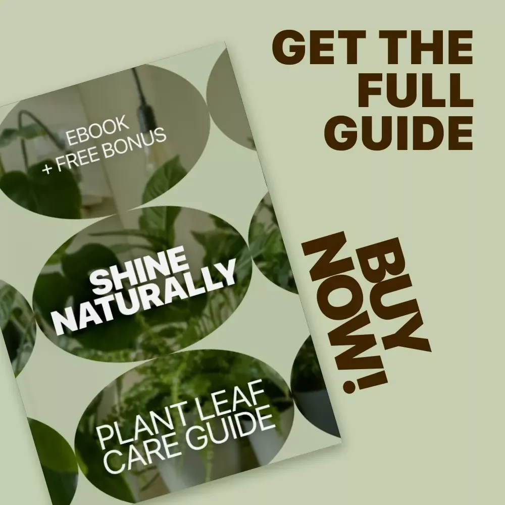 Shine Naturally: Plant Leaf Care Guide – Ebook on Plant Leaf Shine Safe Methods, Natural Cleaning & Healthy Leaf Maintenance