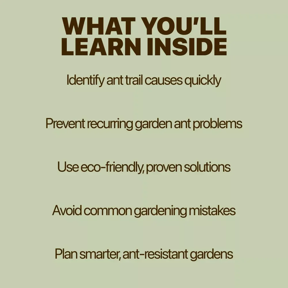 Ant Trails in Your Garden: Causes, Clues, and Clever Solutions | Practical Guide to ant trails in garden causes & Smart Prevention