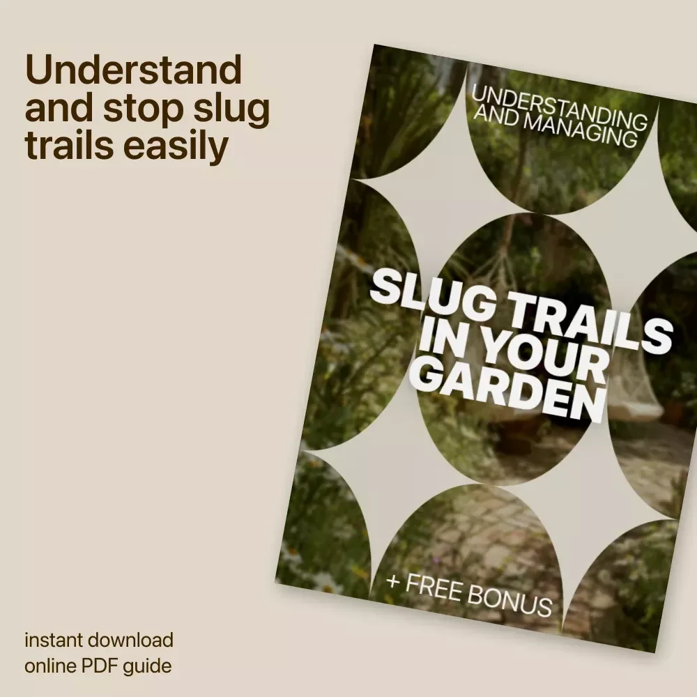 Understanding and Managing Slug Trails in Your Garden – Practical Guide to Slug Trails in Garden Causes, Natural Solutions, Smart Tools & Slug Control for Healthy Gardens