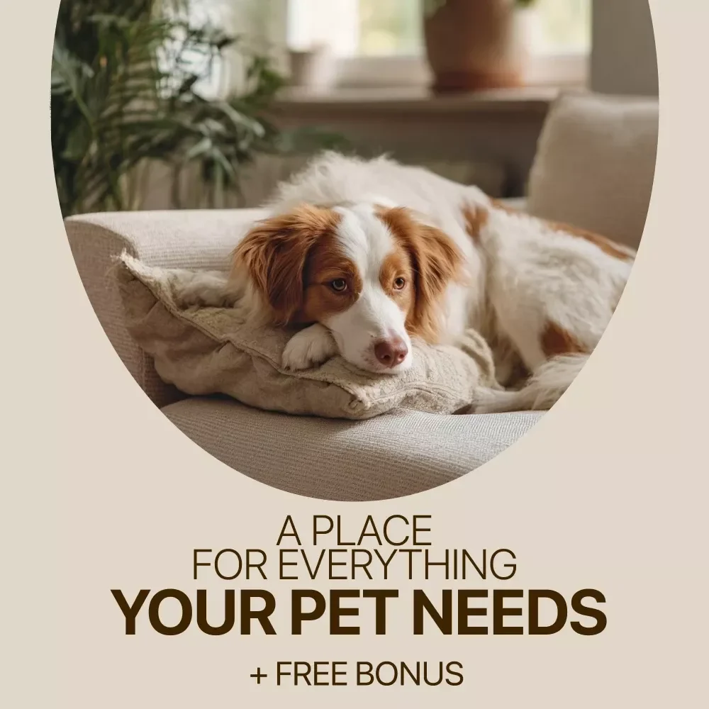 A Place for Everything Your Pet Needs: Organizing Pet Supplies Neatly Made Easy – eBook Download