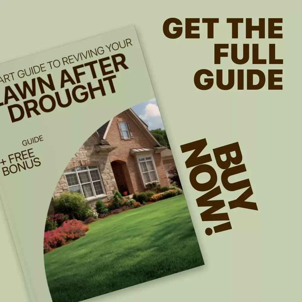 A Smart Guide to Reviving Your Lawn After Drought: Expert Lawn Recovery Tips & Strategies