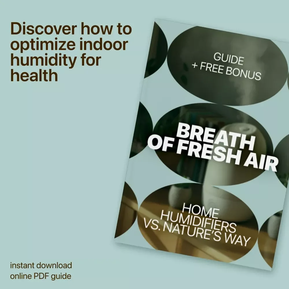 Breath of Fresh Air: Home Humidifiers vs. Nature’s Way - The Ultimate Guide to Boosting Your Indoor Air Quality