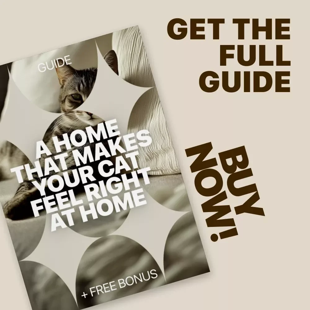 A Home That Makes Your Cat Feel Right at Home | Practical Guide to home setup for cats | Calm, Safe & Cat-Friendly Living Spaces