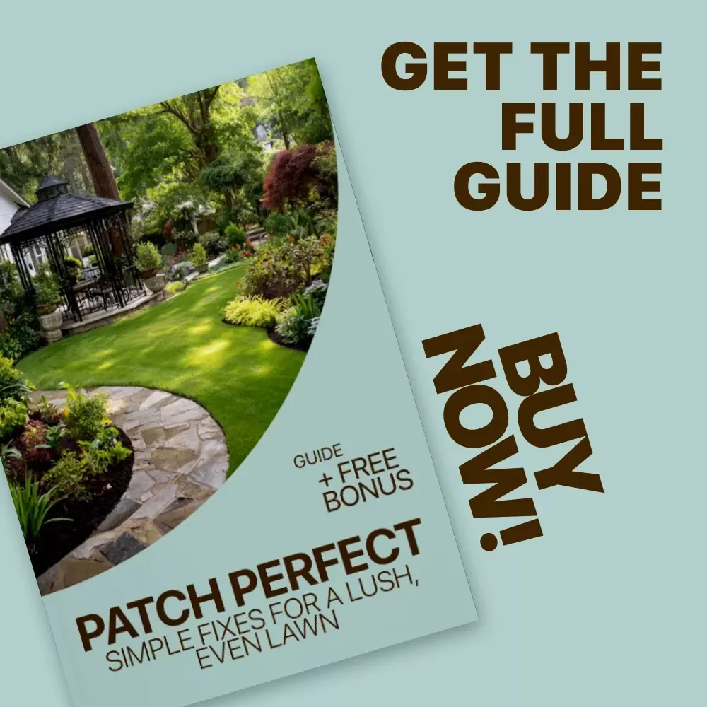 Patch Perfect: Simple Fixes for a Lush, Even Lawn - DIY Lawn Patch Repair Tips Guide