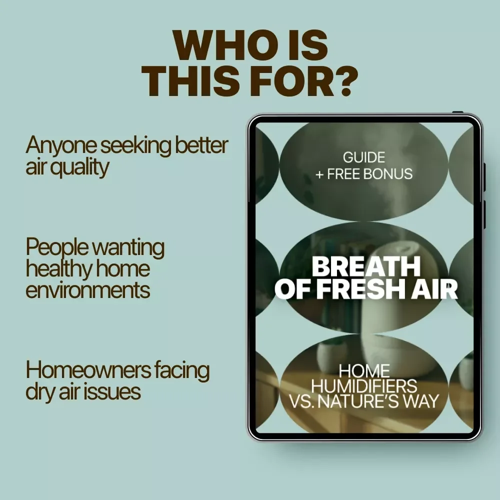 Breath of Fresh Air: Home Humidifiers vs. Nature’s Way - The Ultimate Guide to Boosting Your Indoor Air Quality