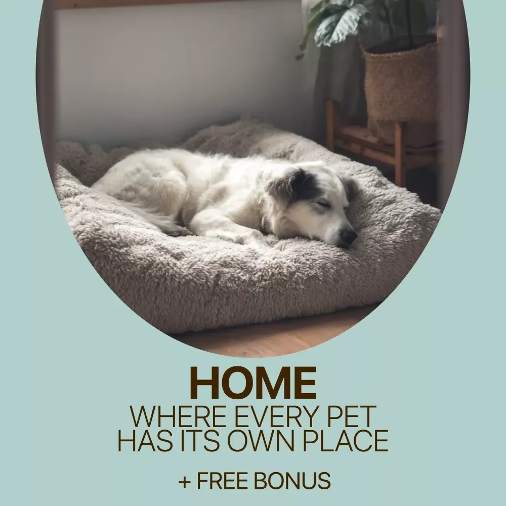 A Home Where Every Pet Has Its Own Place: Practical Pet Zones Ideas for Calmer, Happier Homes - eBook Guide