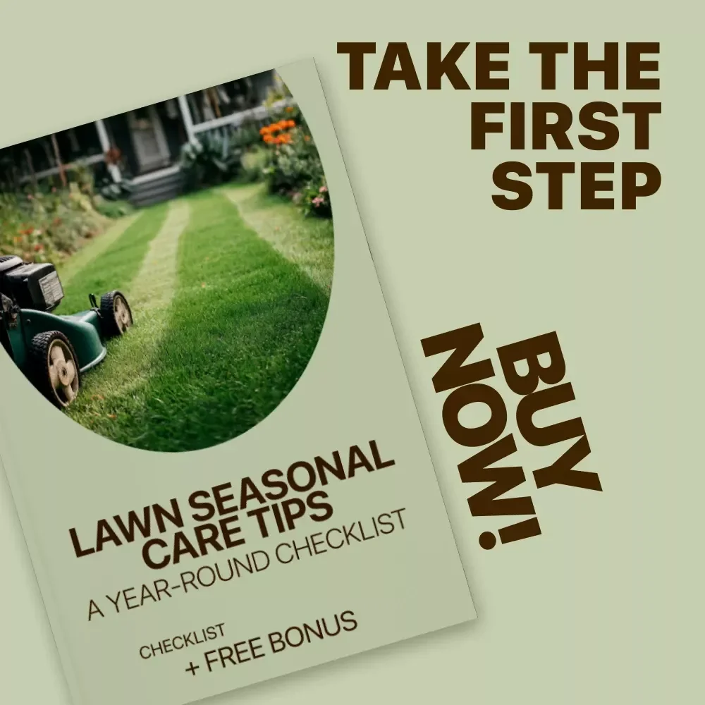 Lawn Seasonal Care Tips: A Year-Round Checklist - Essential Lawn Care Guide for Every Season