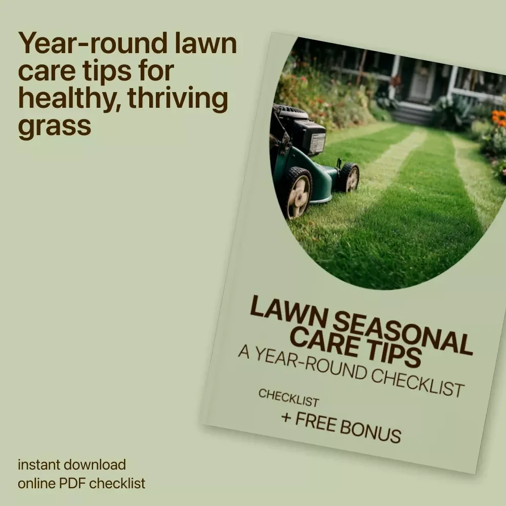 Lawn Seasonal Care Tips: A Year-Round Checklist - Essential Lawn Care Guide for Every Season