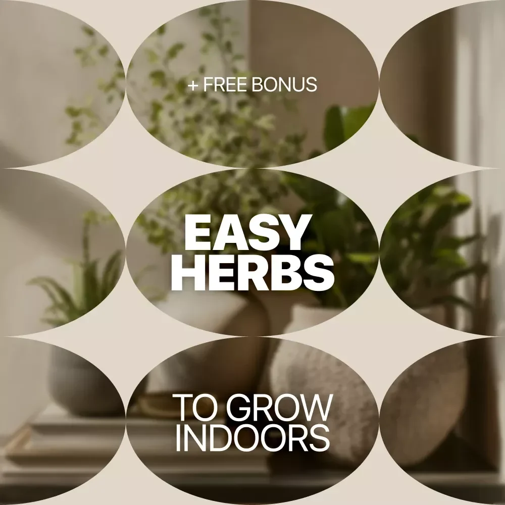 Easy Herbs to Grow Indoors: Your Simple Checklist | Beginner-Friendly Indoor Herb Gardening Guide | Printable Kitchen Herb Checklist
