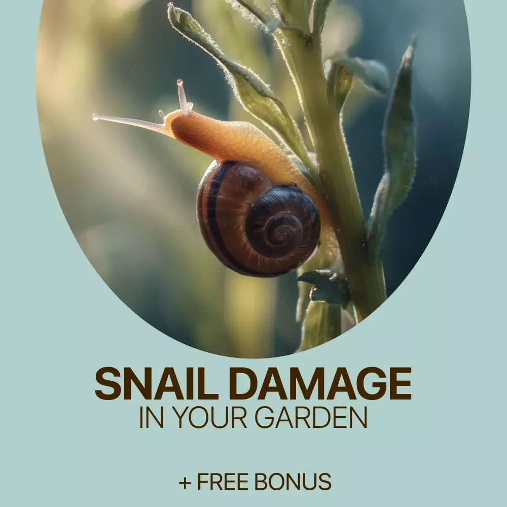Understanding and Managing Snail Damage in Your Garden – Practical Guide to Identify Snail Damage on Plants, Protect Vegetables & Flowers, and Restore a Healthy Home Garden
