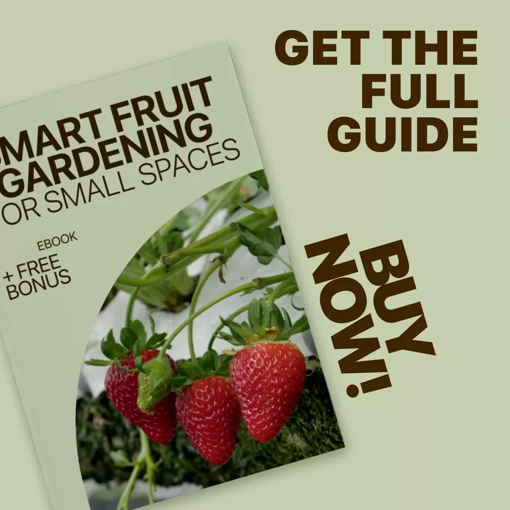 Smart Fruit Gardening for Small Spaces – Practical eBook Guide with Small Garden Fruit Ideas for Balconies, Patios & Tiny Yards