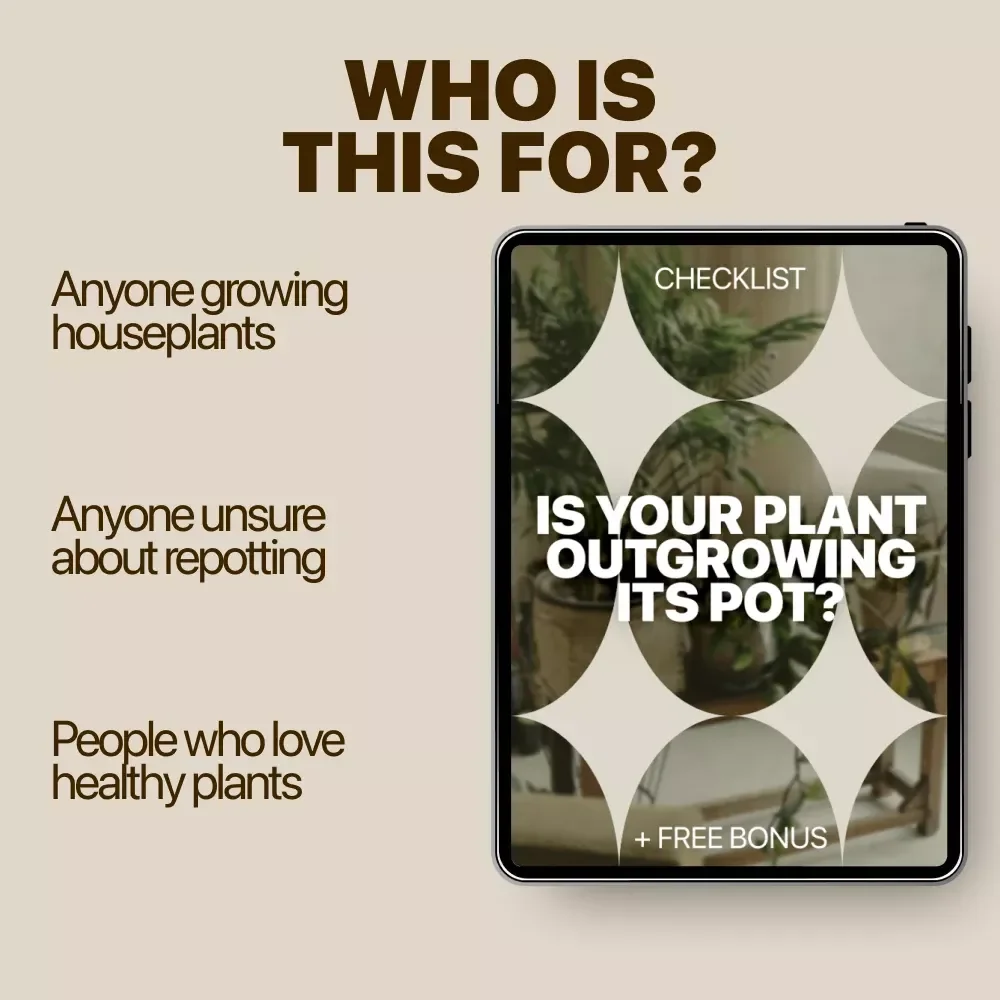 Is Your Plant Outgrowing Its Pot – Printable Checklist for Identifying Plant Root Bound Signs | Easy Houseplant Care Guide