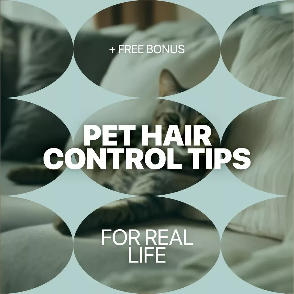 Living Comfortably With Less Fur Everywhere | Practical Ebook for a Cleaner Home | Smart Pet Hair Control Tips for Real Life