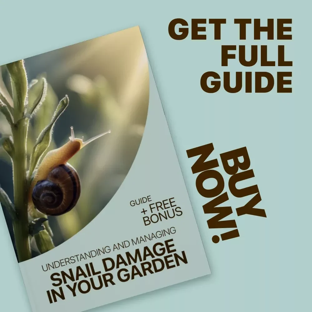Understanding and Managing Snail Damage in Your Garden – Practical Guide to Identify Snail Damage on Plants, Protect Vegetables & Flowers, and Restore a Healthy Home Garden