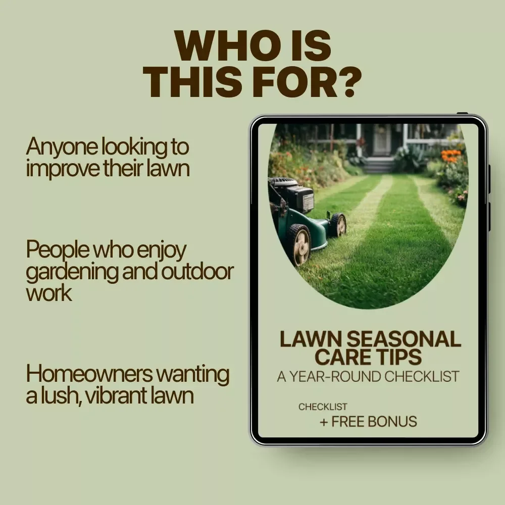 Lawn Seasonal Care Tips: A Year-Round Checklist - Essential Lawn Care Guide for Every Season