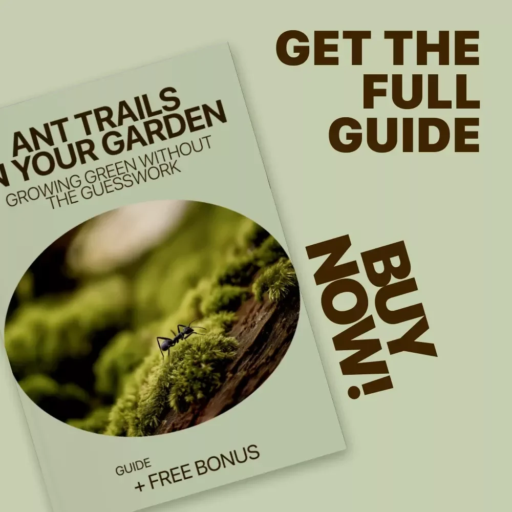 Ant Trails in Your Garden: Causes, Clues, and Clever Solutions | Practical Guide to ant trails in garden causes & Smart Prevention