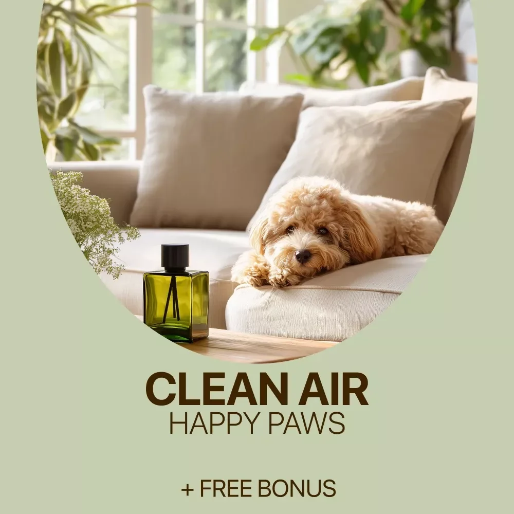 Clean Air, Happy Paws: Essential Guide to Air Quality Tips for Pets