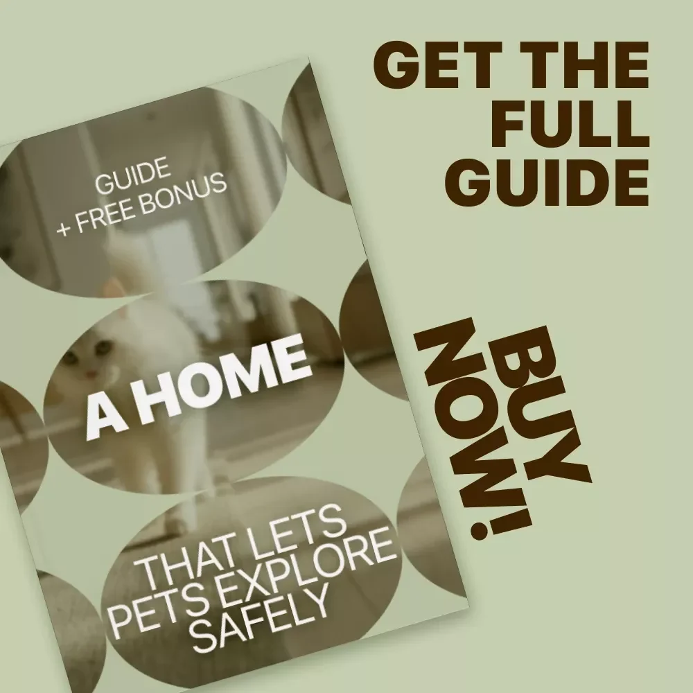 A Home That Lets Pets Explore Safely: The Ultimate Guide to Pet Proofing Your Living Space