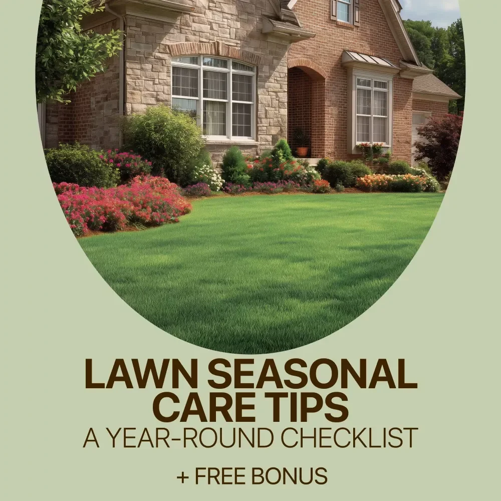 Lawn Seasonal Care Tips: A Year-Round Checklist - Essential Lawn Care Guide for Every Season