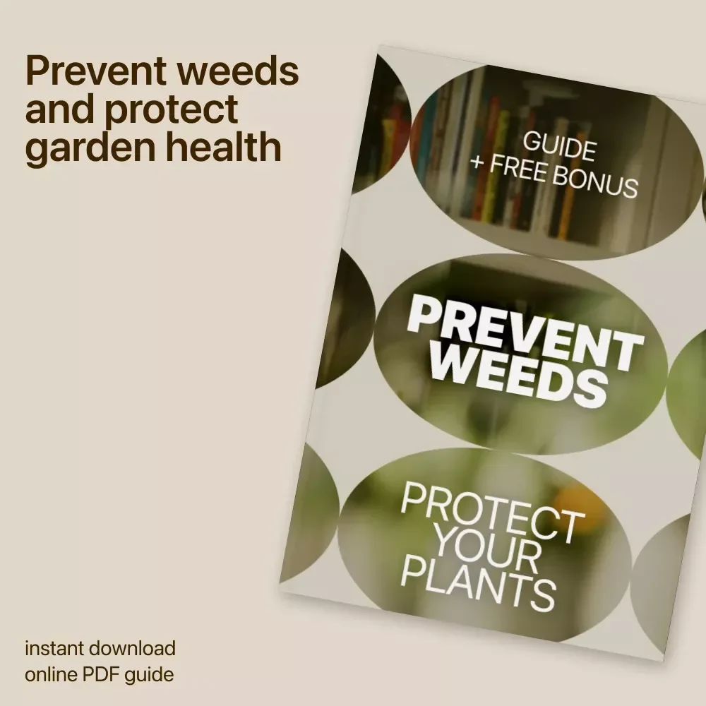 Prevent Weeds, Protect Your Plants – Practical Garden Weed Growth Prevention Guide for Healthier Beds, Smarter Planting & Long-Term Weed Control