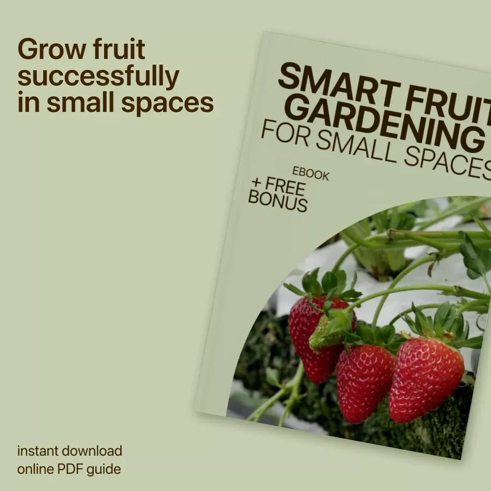 Smart Fruit Gardening for Small Spaces – Practical eBook Guide with Small Garden Fruit Ideas for Balconies, Patios & Tiny Yards