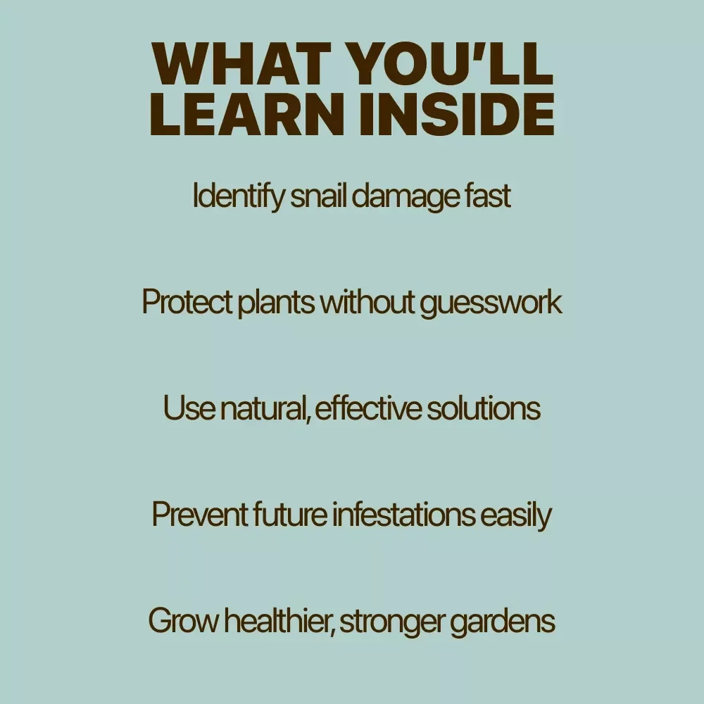 Understanding and Managing Snail Damage in Your Garden – Practical Guide to Identify Snail Damage on Plants, Protect Vegetables & Flowers, and Restore a Healthy Home Garden