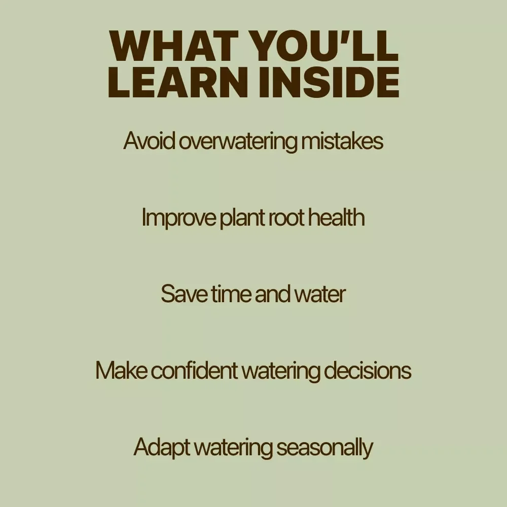 Rain or Shine: Smart Watering Tips for a Thriving Garden | Practical Guide for Watering Garden After Rain, Healthy Soil & Smarter Irrigation