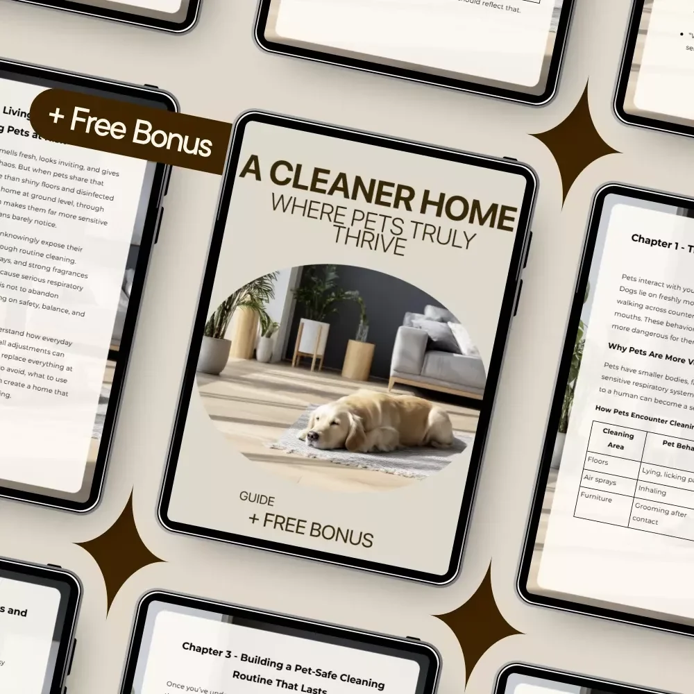 A Cleaner Home Where Pets Truly Thrive – Pet-Safe Cleaning Guide for Modern Homes | Simple Pet Safe Cleaning Habits for a Healthier Space