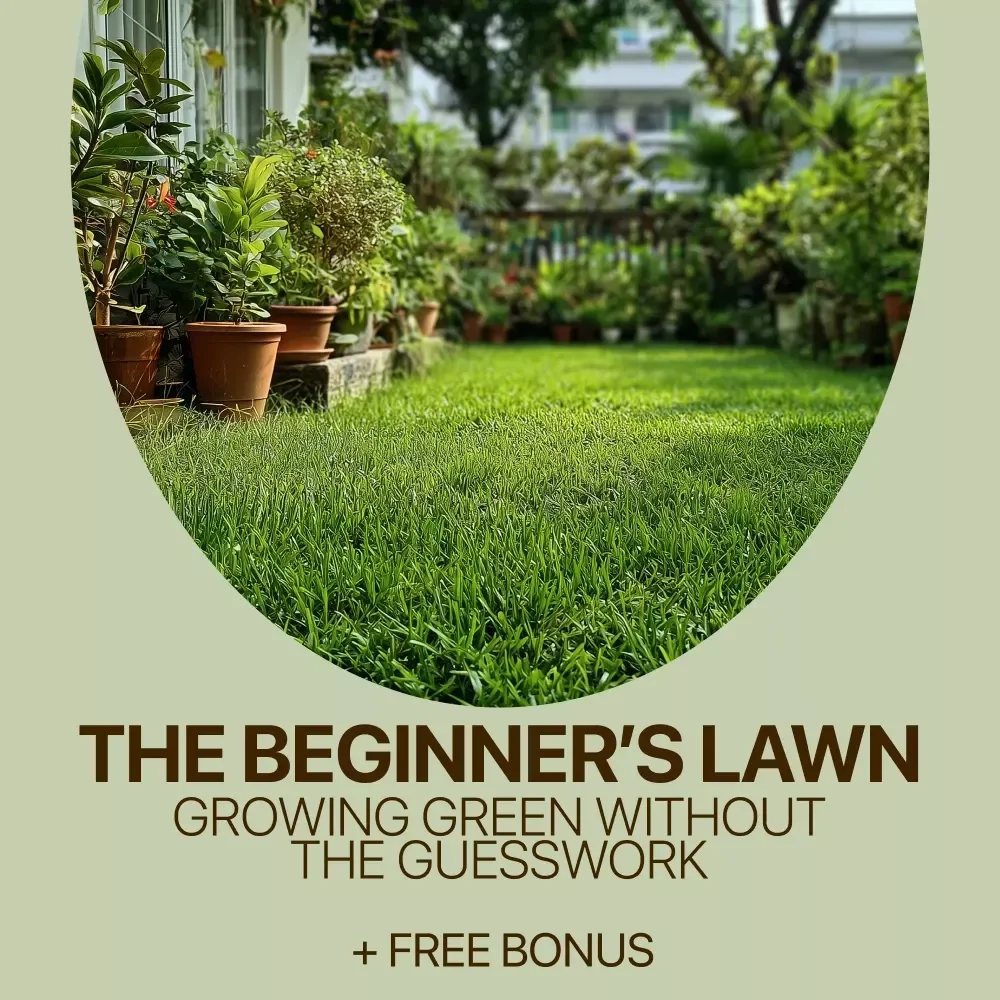 The Beginner’s Lawn: Growing Green Without the Guesswork – Lawn Care for Beginners Guide
