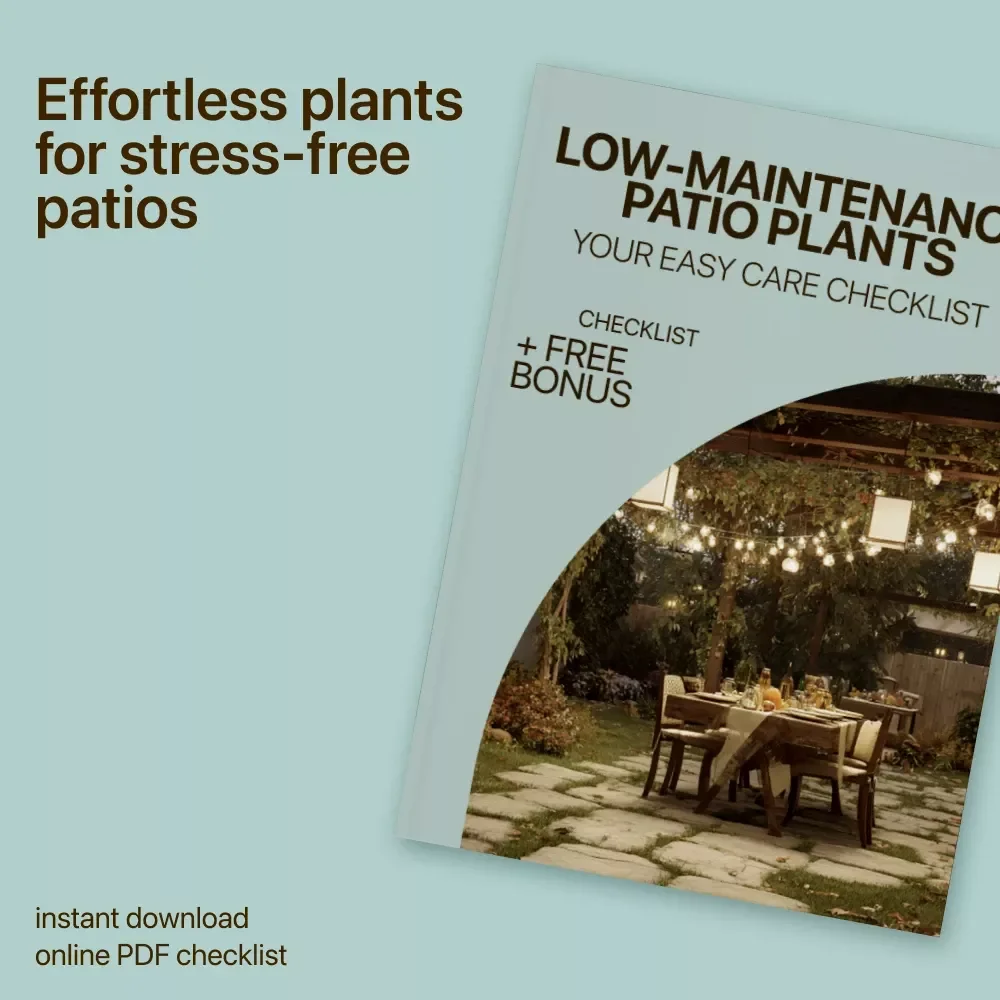 Low-Maintenance Patio Plants: Your Easy Care Checklist | Patio Plants Low Maintenance Digital Checklist for Stress-Free Outdoor Spaces