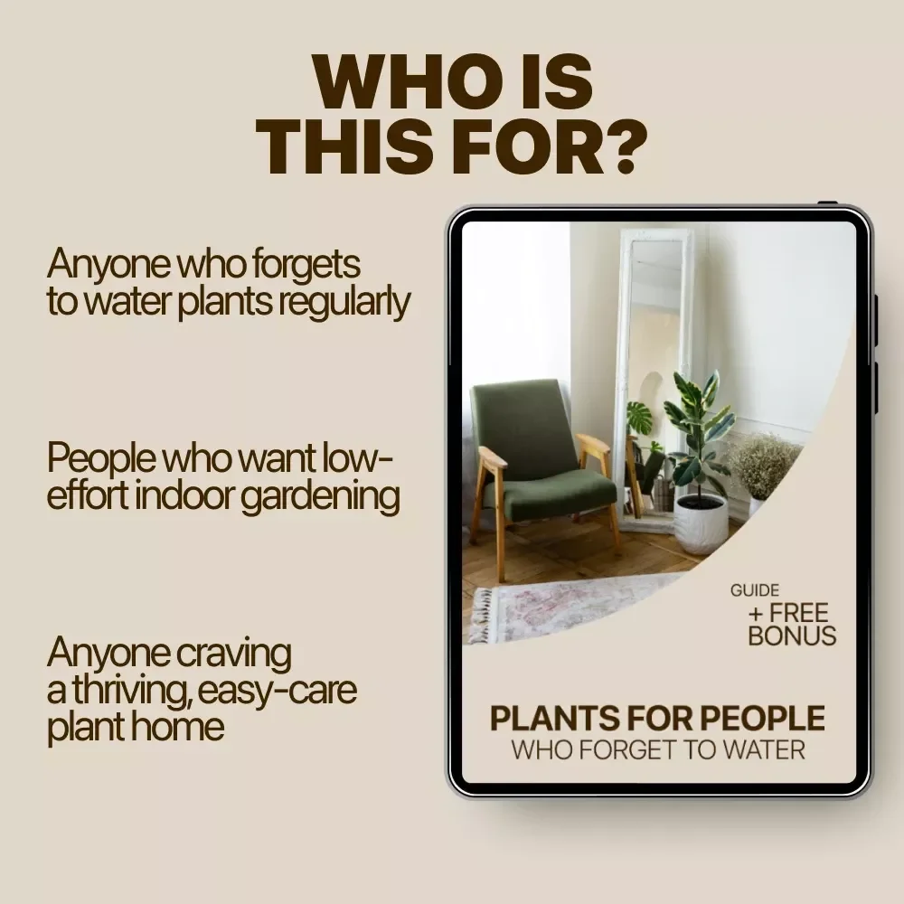 Plants for People Who Forget to Water – The Ultimate Guide to Low-Maintenance Indoor Plants for Forgetful Waterers