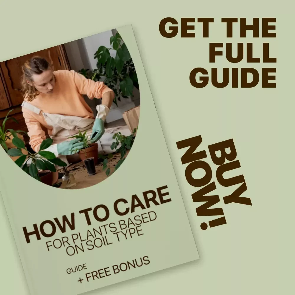 How to Care for Plants Based on Soil Type – Expert Guide to Watering Plants by Soil Type, Smart Moisture Tips, and Soil-Based Plant Care