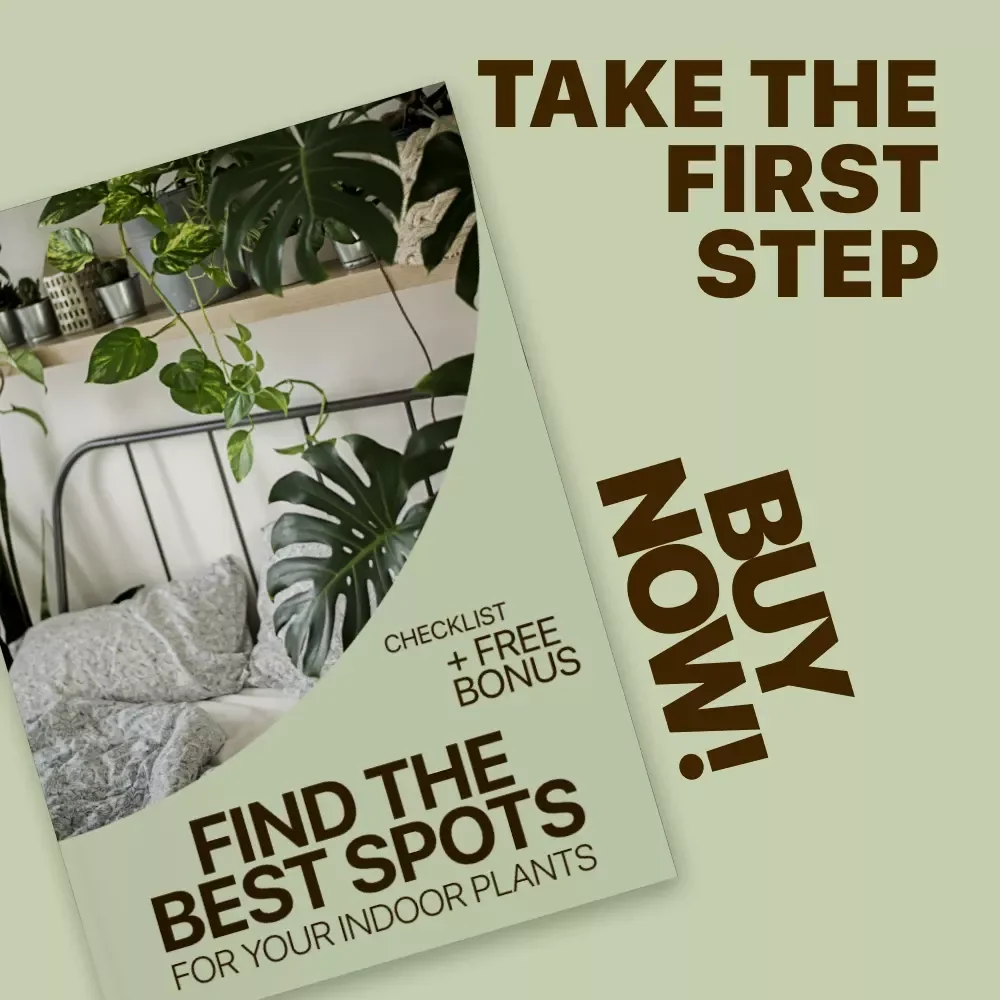 Find the Best Spots for Your Indoor Plants | Easy Home Plant Placement Checklist | best spots for indoor plants